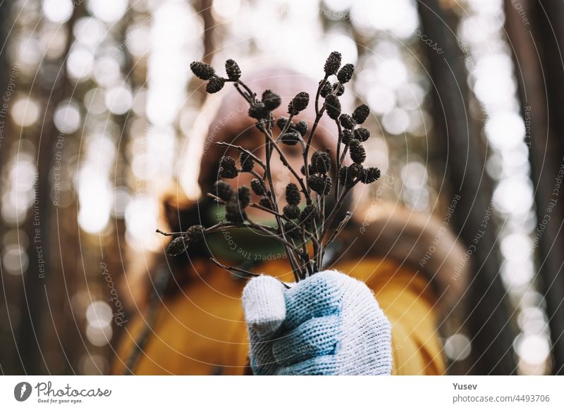 A girl in an orange warm jacket holds a dry branches. Autumn seasonal bouquet. Soft focus. Hands in warm knitted gloves close-up. Vintage toning. holding autumn