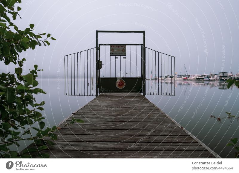 Wooden footbridge with barrier gate in the fog, on the left with leaves at the edge. Fog Misty atmosphere Shroud of fog Exterior shot Nature Landscape Deserted