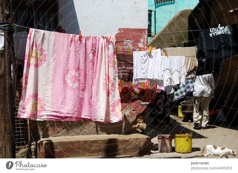 Washing day in the street of Mombasa Laundry Orderliness Dry Side by side clothesline Textiles Housekeeping Passer-by Cat Scene Photos of everyday life Hang