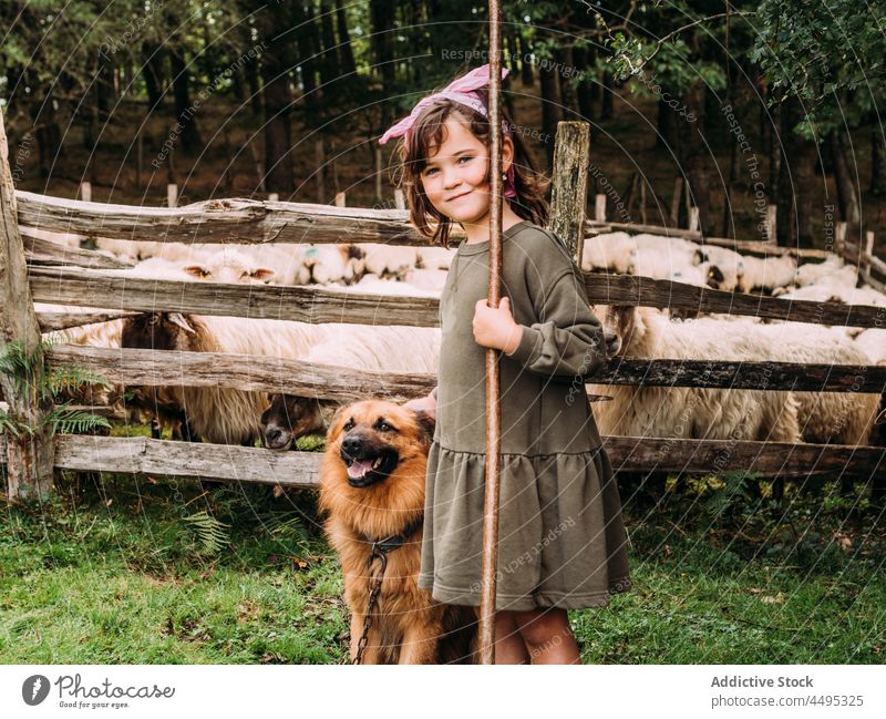 Adorable child stroking purebred dog in sheep farm caress basque shepherd dog animal girl countryside pet mammal cute enclosure adorable kid dress tree camp