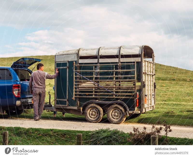 Anonymous farmer standing on road near livestock trailer man suv countryside hill nature car vehicle transport male casual cage terrain cloudy auto path grassy