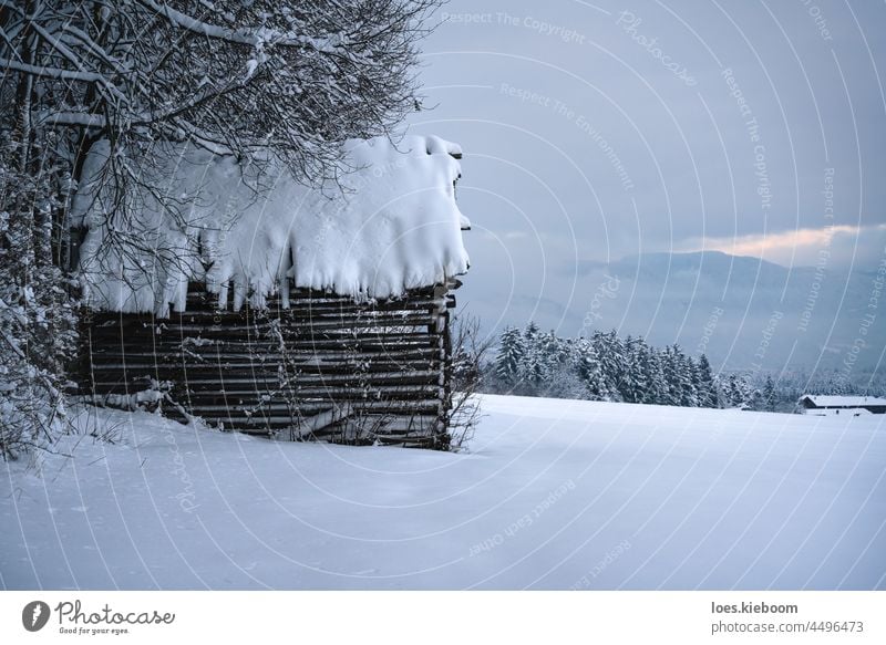 Idyllic winter landscape with barn covered in deep snow, Tirol, Austria alpine alps mountain tree christmas background house nature austria cold snowy white