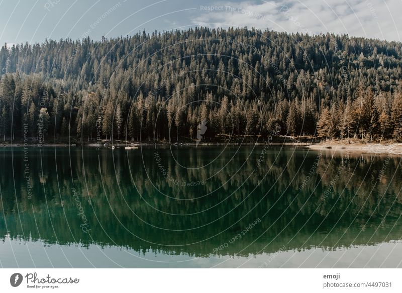 Lake Cauma, Grisons, Switzerland Nature Tourism Beautiful weather Summer Blue sky mountain lake Trip Vacation & Travel Green lake cauma Forest trees fir forest