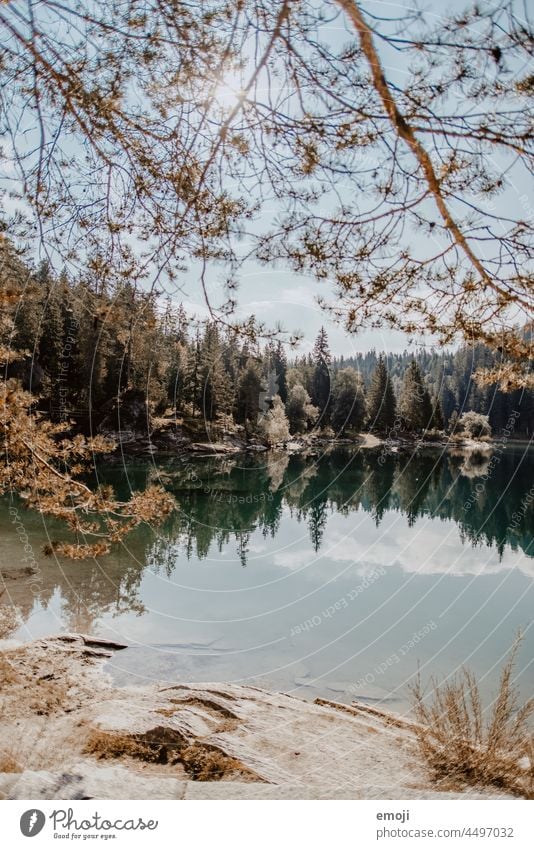 Lake Cauma, Grisons, Switzerland Nature Tourism Beautiful weather Summer Blue sky mountain lake Trip Vacation & Travel Green lake cauma Forest trees fir forest