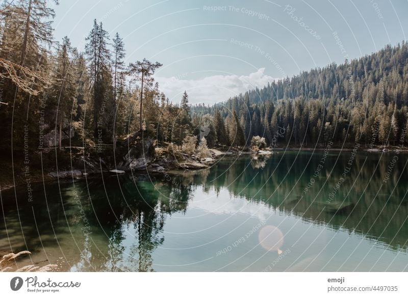 Lake Cauma, Grisons, Switzerland Nature Tourism Beautiful weather Summer Blue sky mountain lake Trip Vacation & Travel Green lake cauma Forest trees fir forest