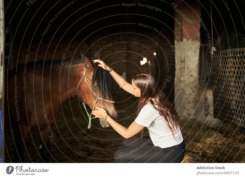 Female petting horse with halter in stable woman animal ranch stallion owner obedient female hay young peaceful equine brown breed friend creature daytime