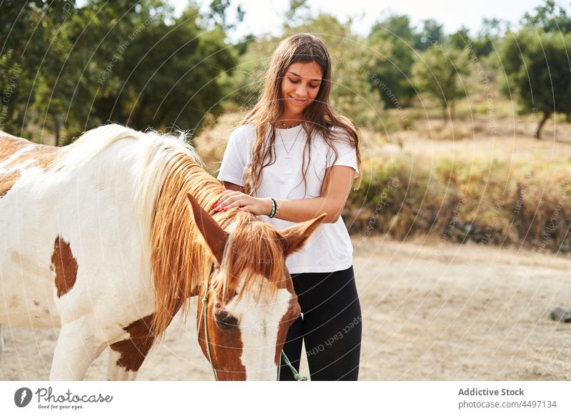 Lady petting horse in ranch near barrier woman bridle animal stallion farm plant female young loyal piebald mammal paddock together casual purebred stand breed