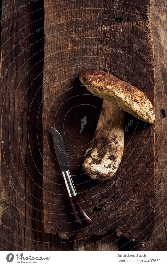 Boletus edulis on rustic wooden cutting board boletus edulis mushroom raw fungus cook specie organic food culinary knife natural edible yummy timber delicious