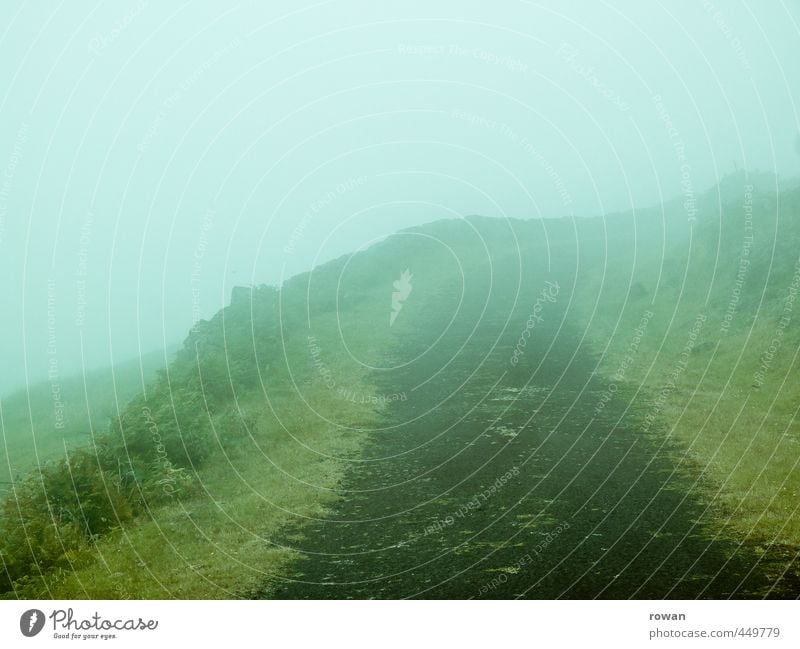 Foggy Environment Nature Landscape Clouds Bad weather Plant Grass Bushes Meadow Field Dark Creepy Footpath Street Haze Mystic Horror film Curve Rotate Invisible