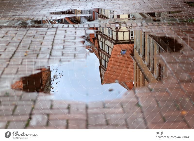 old half-timbered house reflected in a puddle on red paving stones Puddle reflection Half-timbered house Building Old town Paving stone Wet mirrored Sunlight