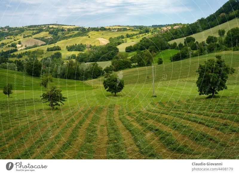 Rural landscape near Riolo and Canossa, Emilia-Romagna. Europe Italy Reggio Emilia agriculture calanques country exterior field green hill mountain nature