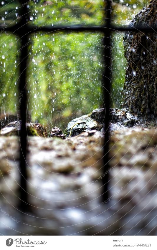 Behind the waterfall Environment Nature Drops of water Rain Garden Park Virgin forest Waterfall Natural Green Tropical Colour photo Exterior shot Close-up