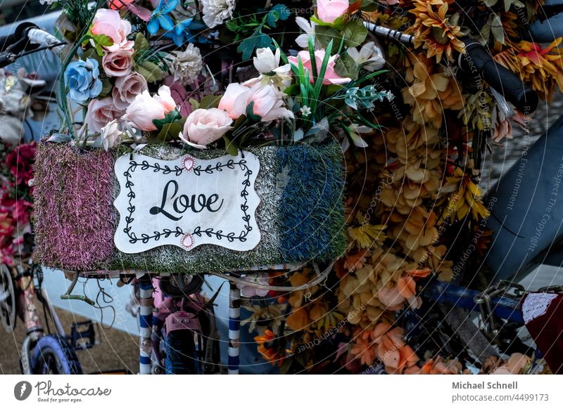 Amsterdam: Artificial flowers on a bicycle with "Love" written on it Bicycle artificial flower Blossoming Emotions Feelings and emotions statement Romance Heart