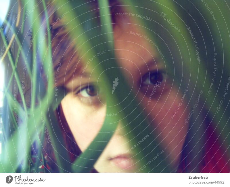 Girl in the (big city) jungle Portrait photograph Feminine Palm tree Think Self-made Woman Nature