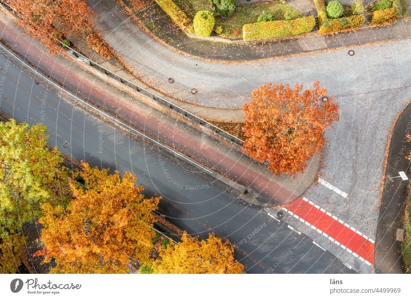 last exit autumn Autumn Street Highway ramp (exit) Lanes & trails Road traffic Deserted Traffic infrastructure Line Lane markings Cycle path Colour photo