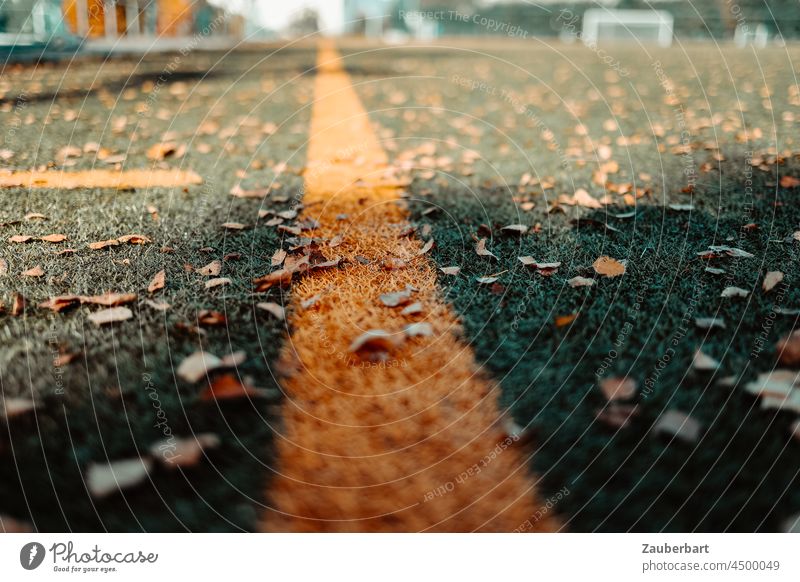 Yellow line sideline on football field with autumn leaves Line Sideline Lawn soccer field Autumn Foot ball Green Sports Sporting grounds Autumnal