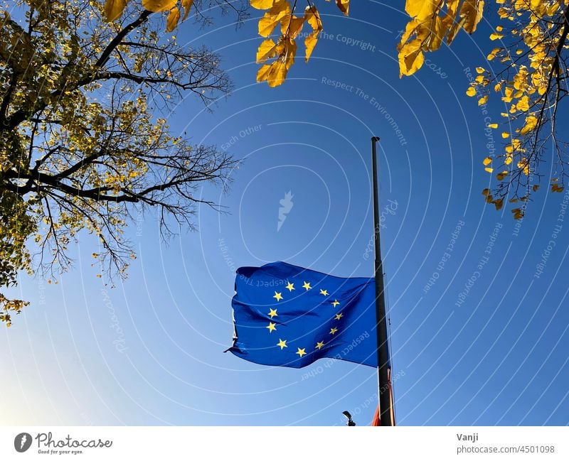 Europe, Flag, Cohesion Attachment Politics and state Blue European flag Colour photo Day Exterior shot European Union Wind Flagpole Sky Deserted EU Blow Sign