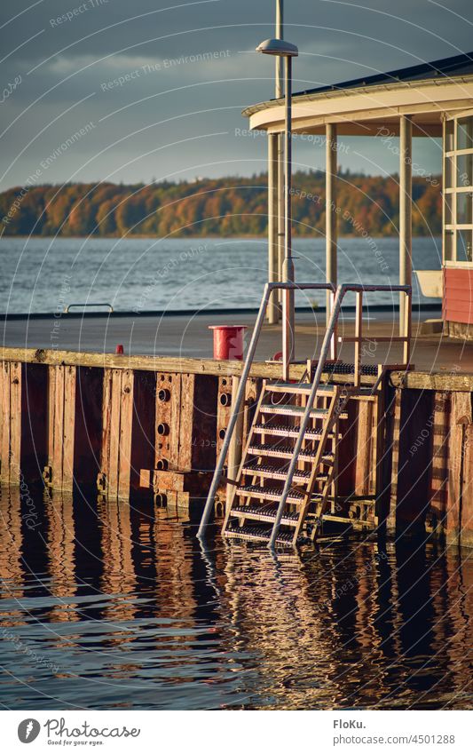 Bathing area at the Flensburg Fjord Bathing place Water fjord Lake Lakeside Ocean Baltic Sea Autumn Waves wave Surface of water coast Colour photo Nature