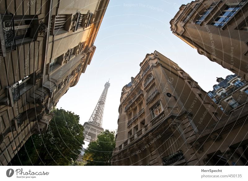 To kneel down Cloudless sky Beautiful weather Tree Paris France Capital city Deserted House (Residential Structure) Building Architecture Facade Balcony Roof