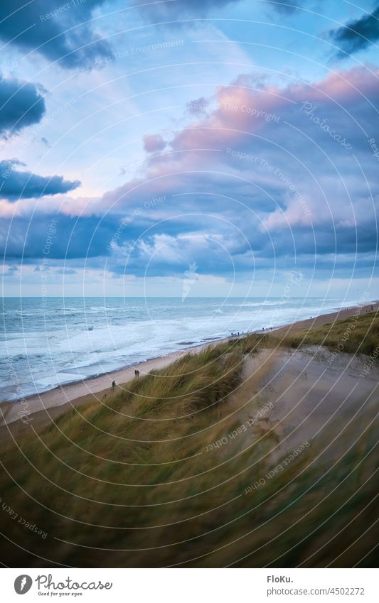 Sunset at the North Sea near Vejlby Klit Denmark coast North Sea coast dunes Clouds Ocean ocean Beach Blue Sky Nature Vacation & Travel Landscape Relaxation