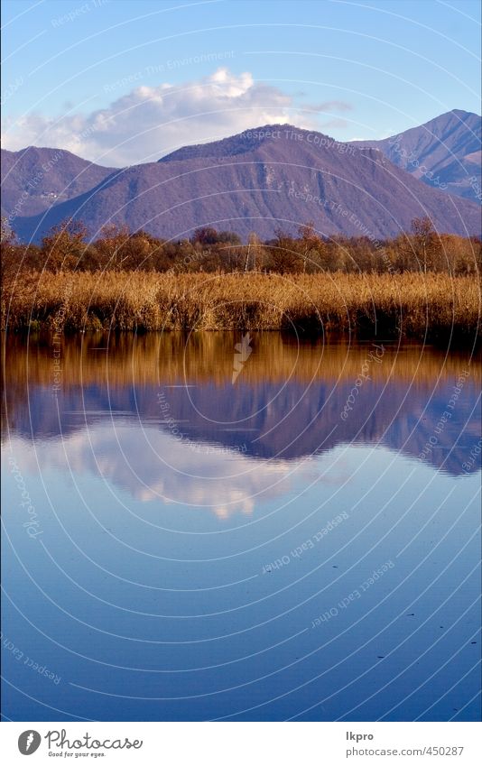 moor marshy in the north of italy Relaxation Vacation & Travel Trip Mountain Nature Sky Clouds Autumn Tree Leaf Hill Lake Line Dirty Blue Brown Yellow Gray Red