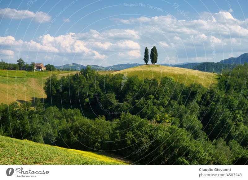 Rural landscape on the hills near Bologna, Emilia-Romagna. Botteghino di Zocca Europe Italy Monteveglio agriculture calanques country cypress exterior farm