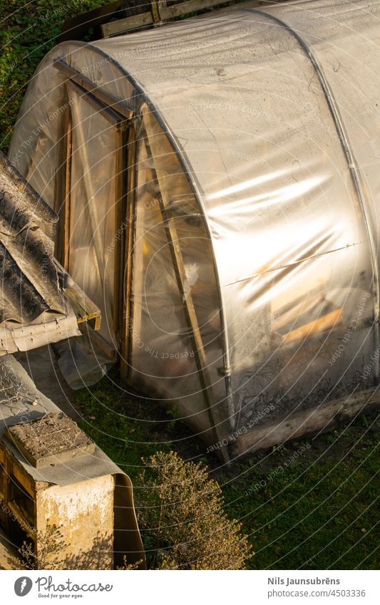 Old greenhouse entrance with bad doors. Sun gardening golden golden hour grass cultivation footpath system growing growth fresh organic field healthy clear