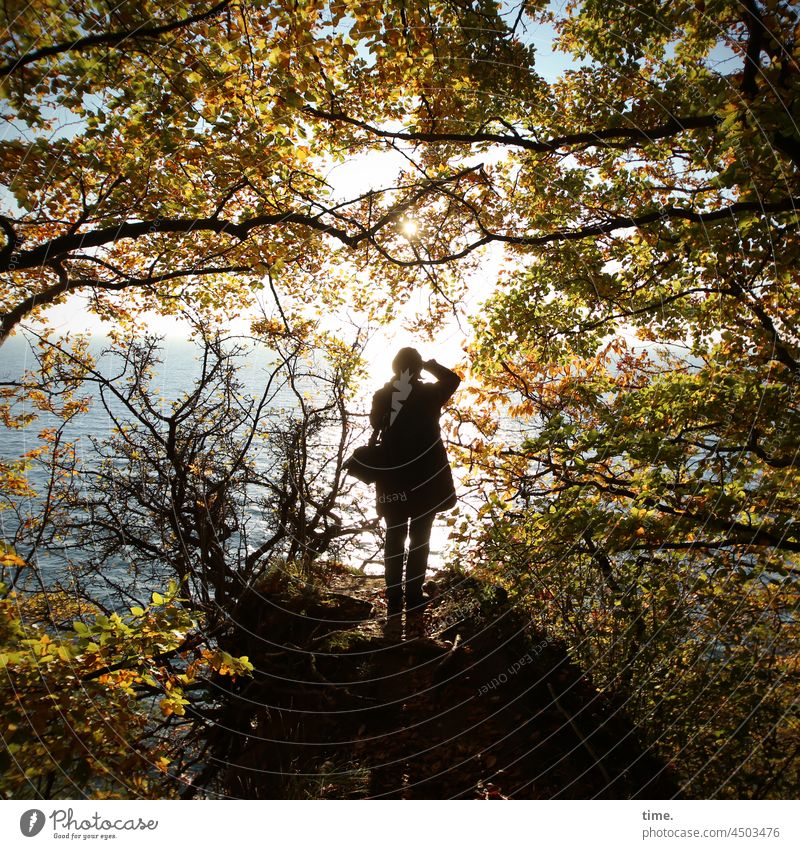 autumnal Woman Forest Take a photo flooded with light trees Baltic Sea Tree Beech tree Autumn sunny Nature National Park forest path autumn colours