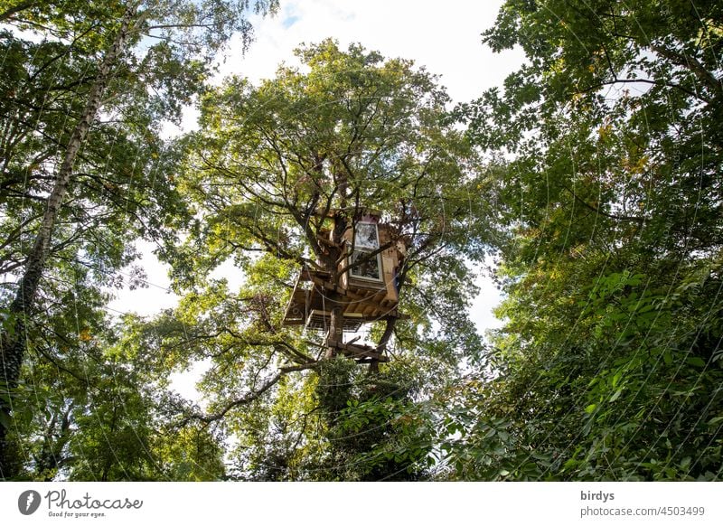 Tree house in the village of Lützerath at the open-cast lignite mine Garzweiler 2, threatened by destruction by RWE trees protest Climate change activists