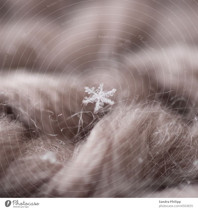 An ice cone sticks to fluffy wool Ice crystal Wool Macro (Extreme close-up) Frozen Cold Winter Crystal structure Frost Snow Close-up Snow crystal Winter mood