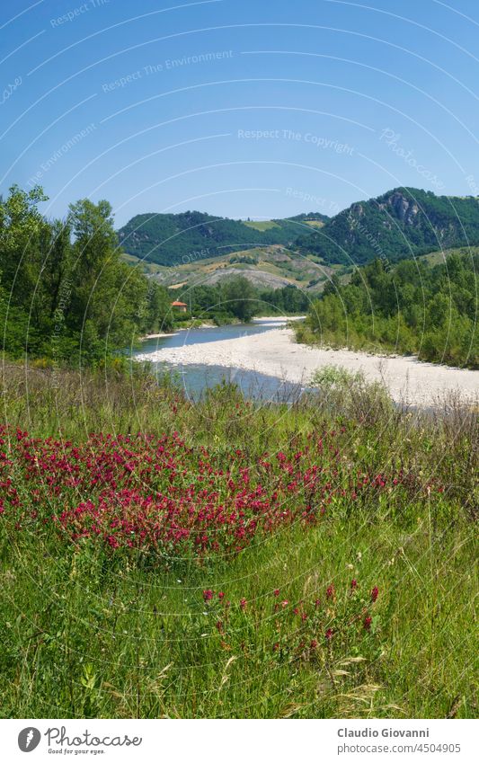 Rural landscape near Pavullo nel Frignano, Emilia-Romagna. Europe Italy Modena Panaro agriculture calanques country exterior farm field flower green hill