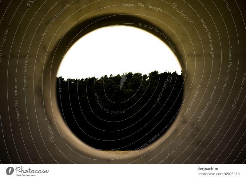 View through the round hole. In the background are bushes and shrubs. Hollow Close-up Deserted Old Structures and shapes Subdued colour Detail Exterior shot