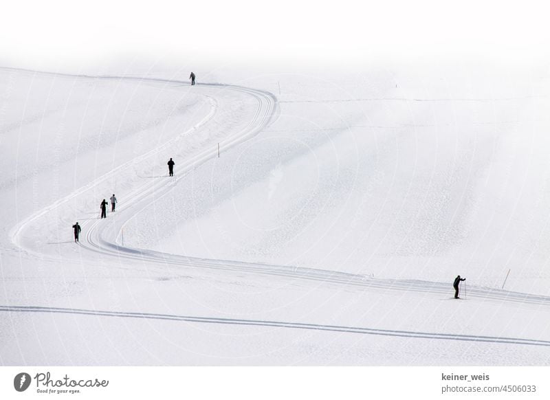 Cross-country skier on a cross-country ski trail during winter sports Winter sports Cross country skiing Cross-country ski run Cross-country ski trail Snow