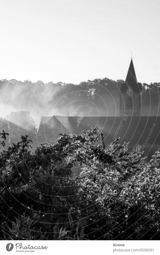 morning service Church Church spire Morning Haze Village Ground fog Morning fog White trees Garden Fog Bright Hope hopeful Dawn Sky Light Shroud of fog Nature