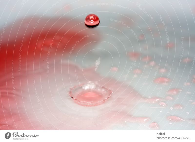 Water drop with water funnel in pink photographed in studio Drops of water Splash of water Effervescent splash Macro (Extreme close-up) Reflection Wet Speed