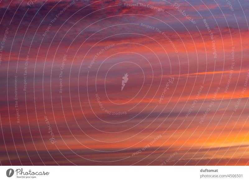 Vapour trails in the evening cloudy sky Clouds Sky Evening sunset little cloud Cumulus Sunset Illuminate Sunlight Twilight Dusk Nature Silhouette