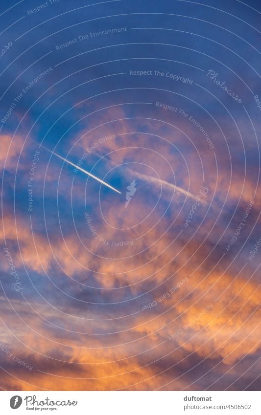 Vapour trails in the evening cloudy sky Clouds Sky Evening sunset little cloud Cumulus Sunset Illuminate Sunlight Twilight Dusk Nature Silhouette