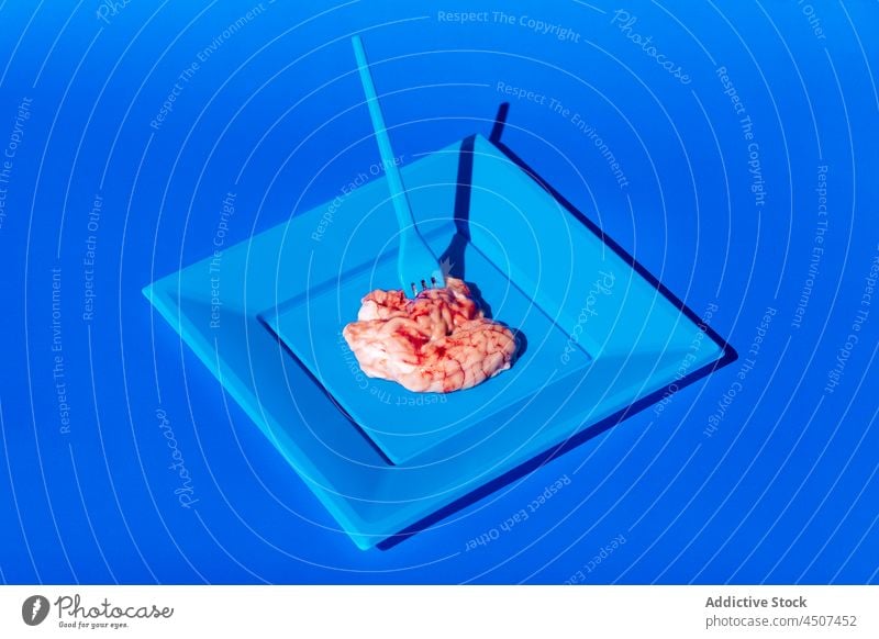 Raw brains on blue plate nourishment organ raw serve food unusual concept organic odd creative fork vivid style design portion bright studio colorful modern