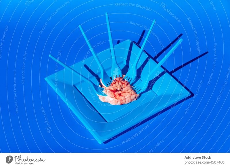 Raw brains on blue plate nourishment organ raw serve food unusual concept organic odd creative fork vivid style design portion bright studio colorful modern