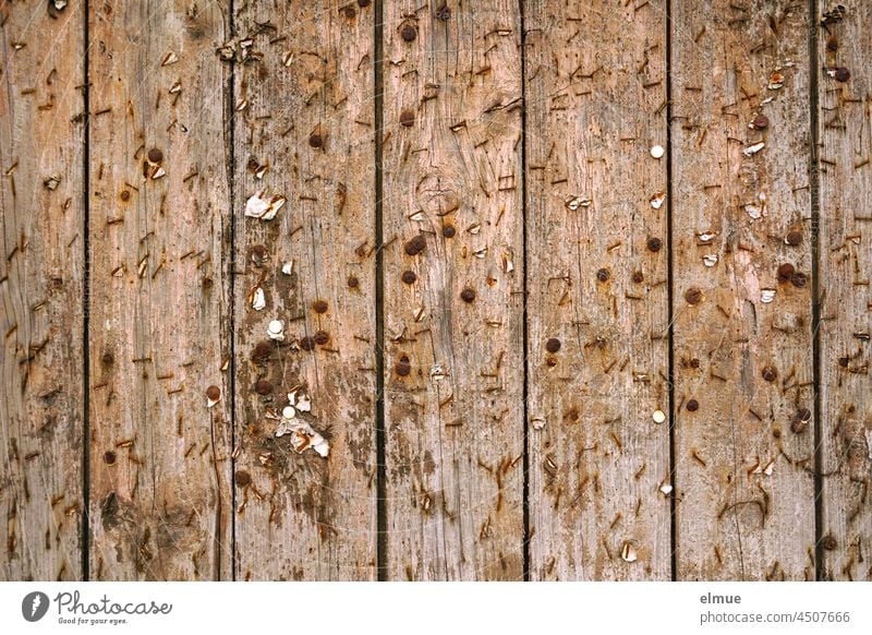 Wooden wall for public notices with numerous rusty nails and thumbtacks and remnants of paper / bulletin board Stop wall public displays Collection Nail