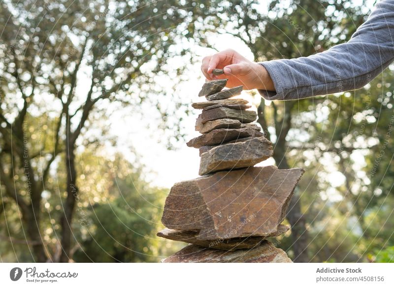 Crop man stacking stones in nature forest tree hiker trekking balance harmony adventure activity traveler male hand deciduous explore woods serene trip lush