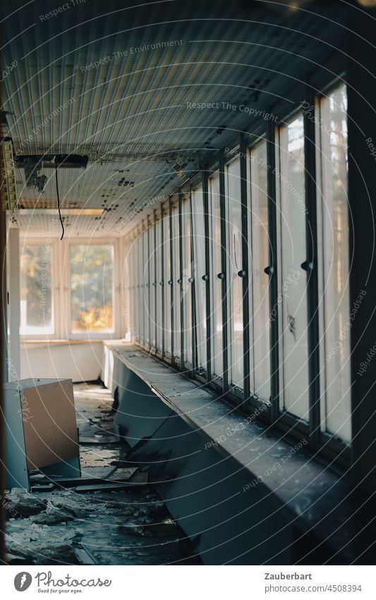 Hallway and window front in a former hospital with autumn light Window Glazed facade Perspective Light Autumn Hospital movie Corridor forsake sb./sth.