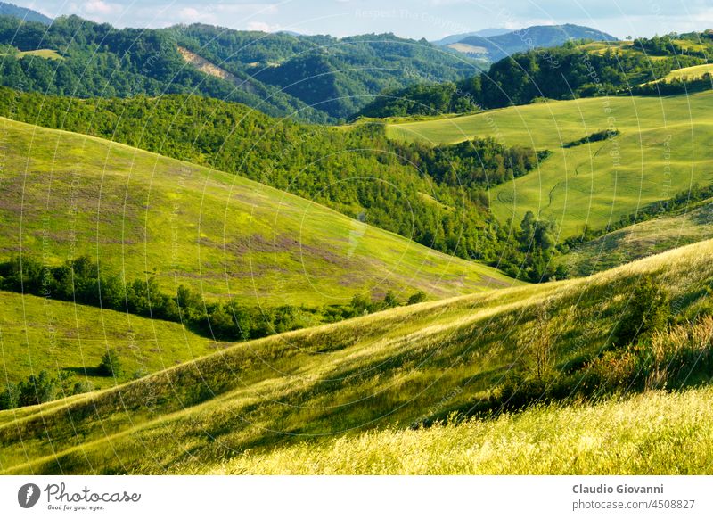 Rural landscape on the hills near Bologna, Emilia-Romagna. Botteghino di Zocca Europe Italy Monteveglio agriculture calanques country cypress exterior farm