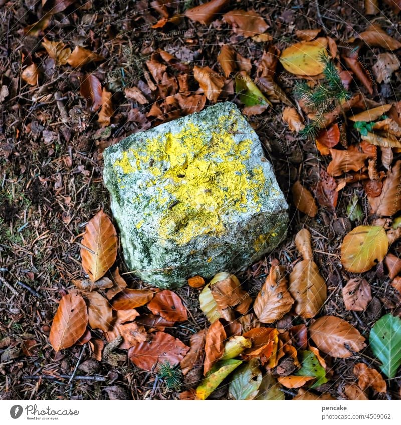 places that mean something | landmark Stone Signs and labeling Exterior shot Gray Border Federal State green barrier location Meaning foliage leaves