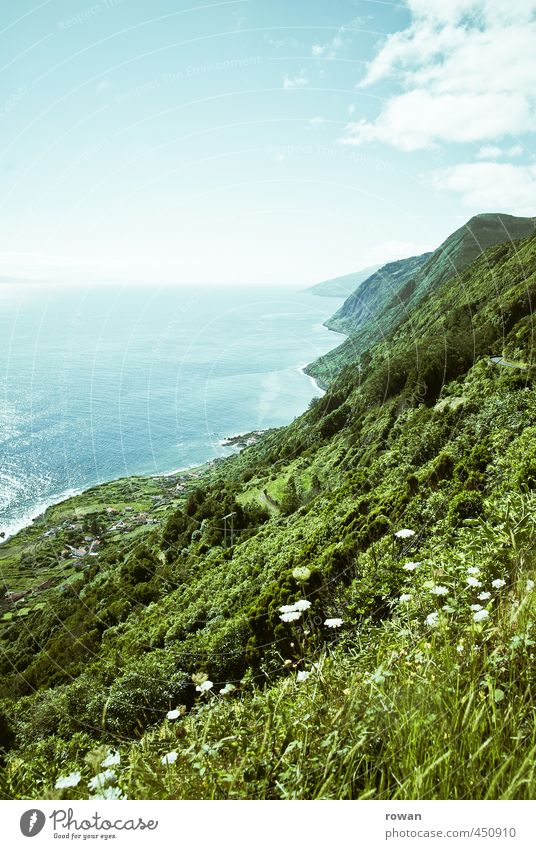 coast Environment Nature Landscape Plant Hill Rock Mountain Waves Coast Ocean Island Green Azores Summer vacation Summery Warmth Hiking Colour photo