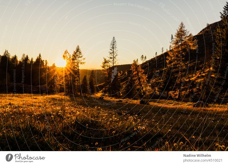 Sunset in rose garden Sunlight Landscape Rose garden Dolomites Mountain Exterior shot Nature Colour photo Alps Deserted South Tyrol Sky Beautiful weather Light