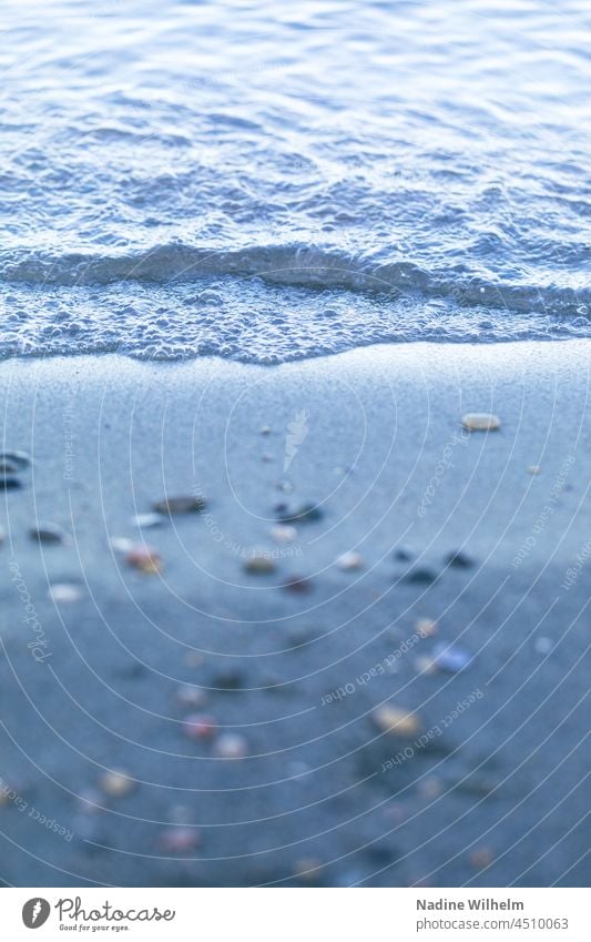 Wave on the beach wave Waves Swell Water Ocean Undulation Wave action ocean Sea water Wave break Blue Wavy line coast Surface of water Watercolor oceanic