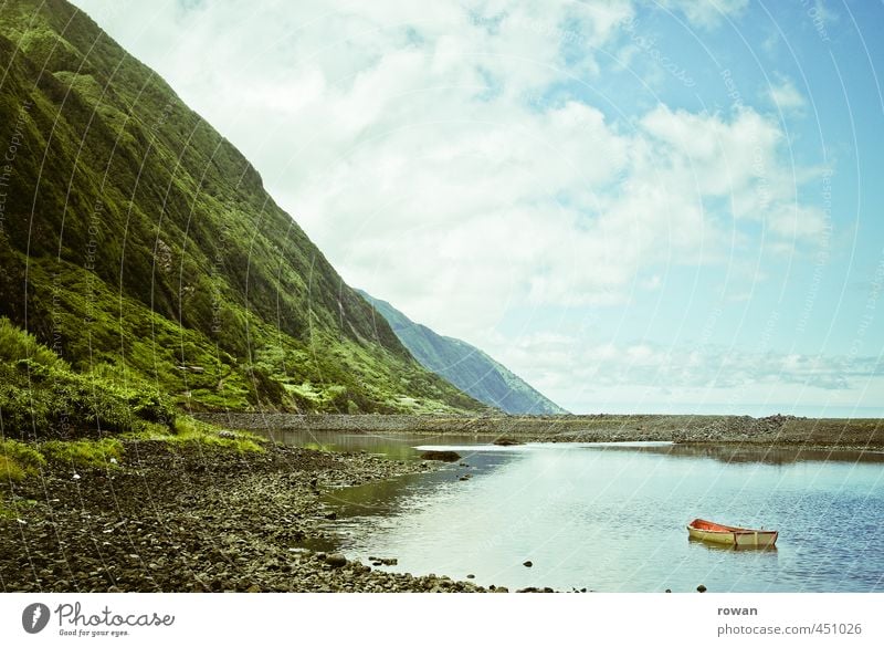 on a slope Environment Nature Landscape Sky Beautiful weather Tree Grass Bushes Meadow Forest Hill Rock Mountain Coast Lakeside Exceptional Warmth Blue Green