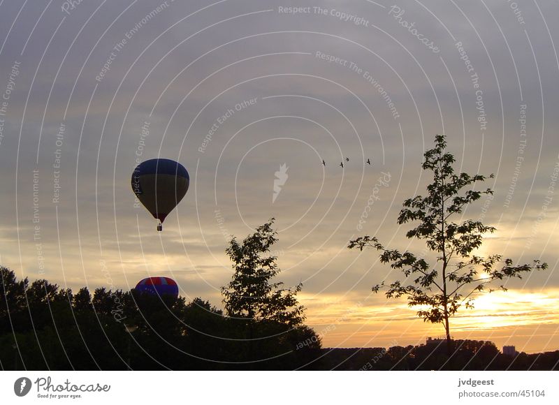 balloon Night Tree Clouds Netherlands Aviation Hot Air Balloon