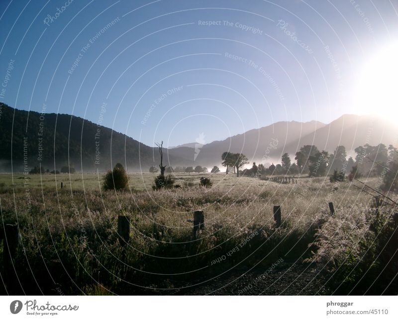 MorningSun Fog Meadow Calm Valley